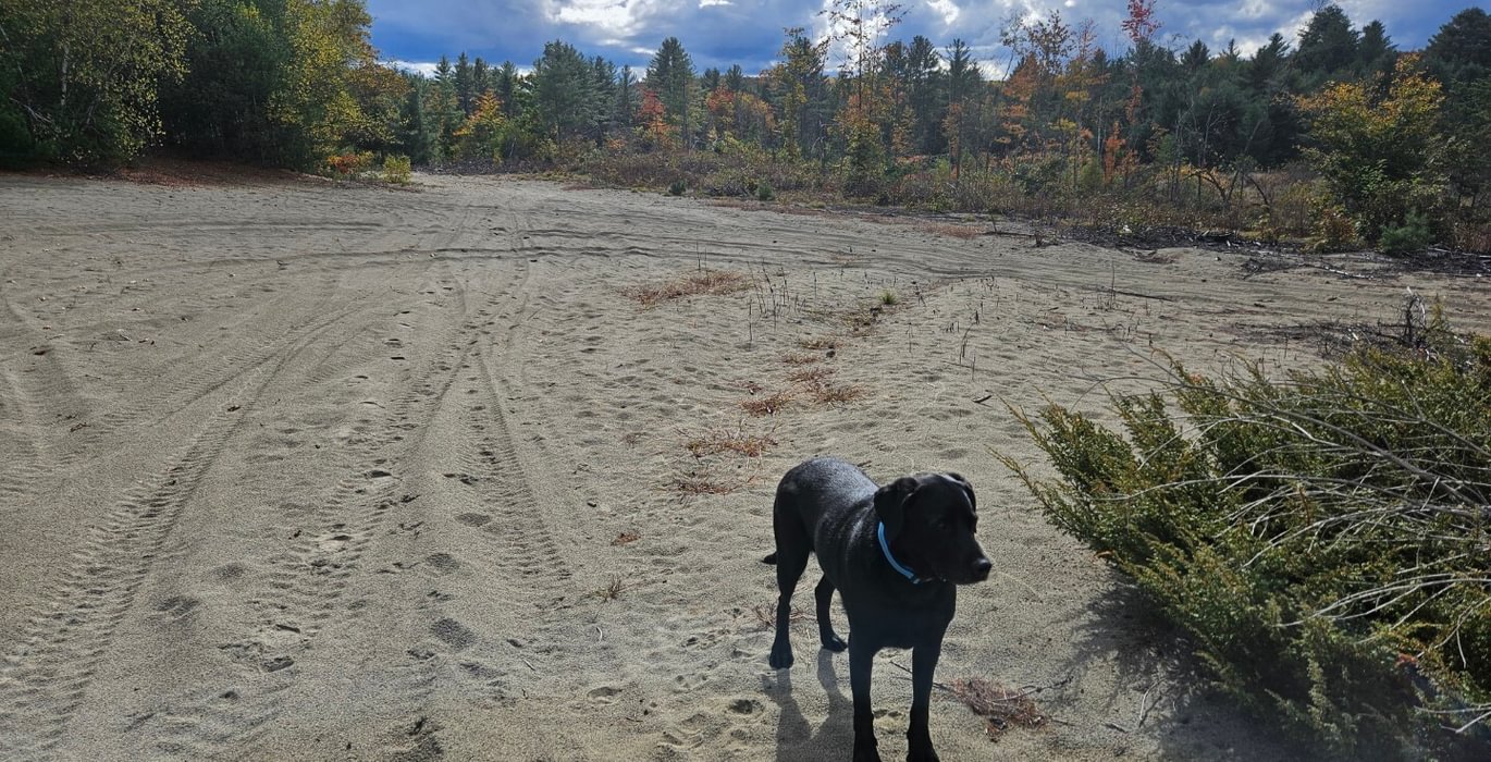 332 7 Lot showing sand resource 2