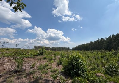 333 IMG 0249