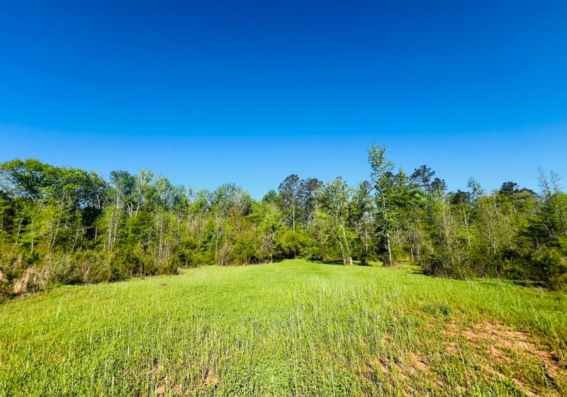 Photo 7 of Wolf Creek - Sportsman Tract, 182 acres, Jasper County, Georgia