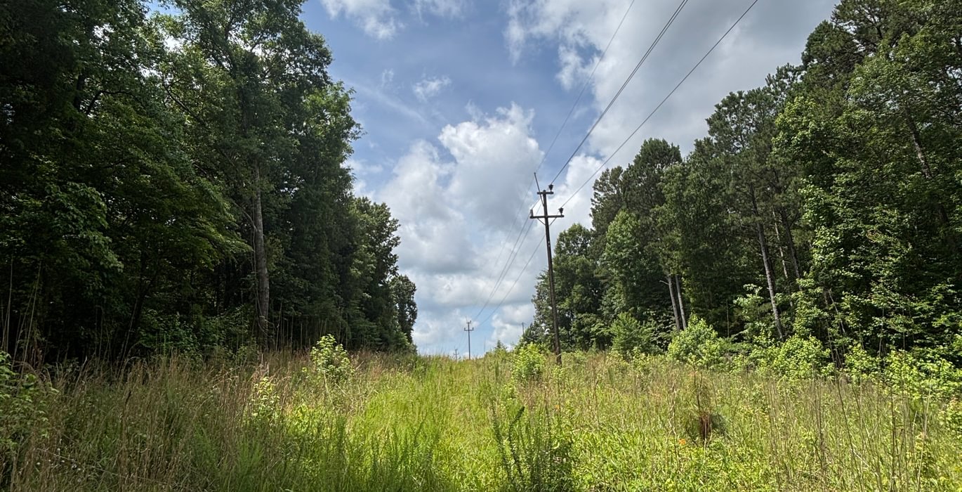 335 IMG 4026
