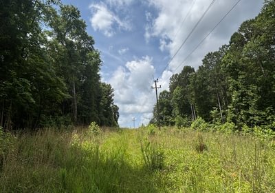 335 IMG 4026