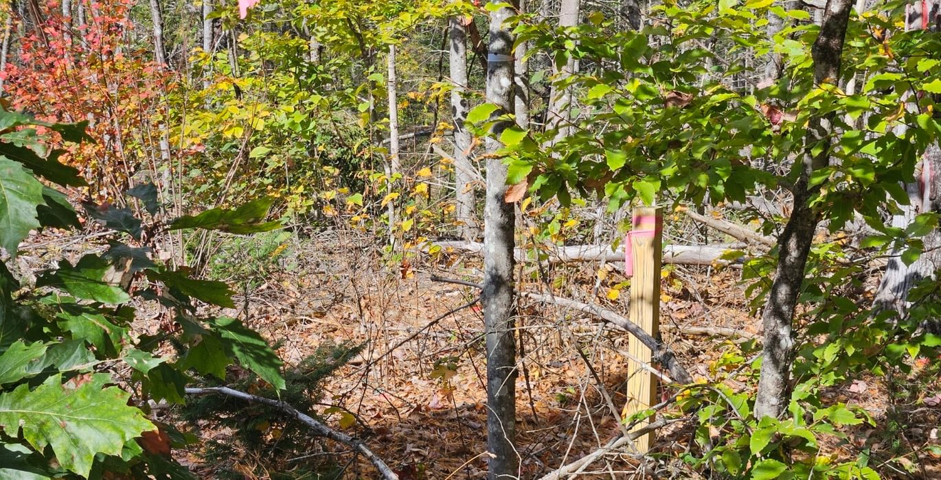 336 23 East boundary post along Old Schoolhouse Road