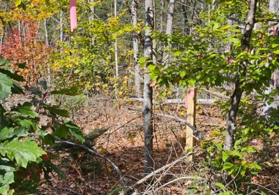 336 23 East boundary post along Old Schoolhouse Road