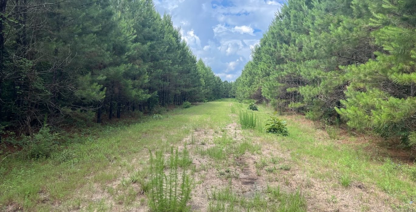 336 IMG 6064