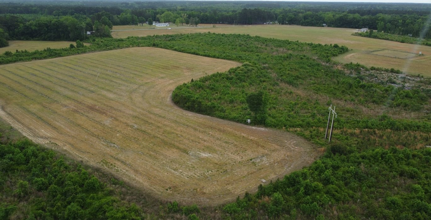 338 DJI 0262