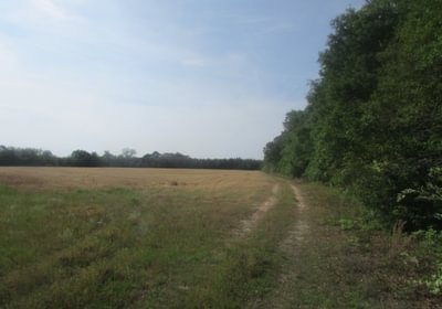 338 IMG 0718