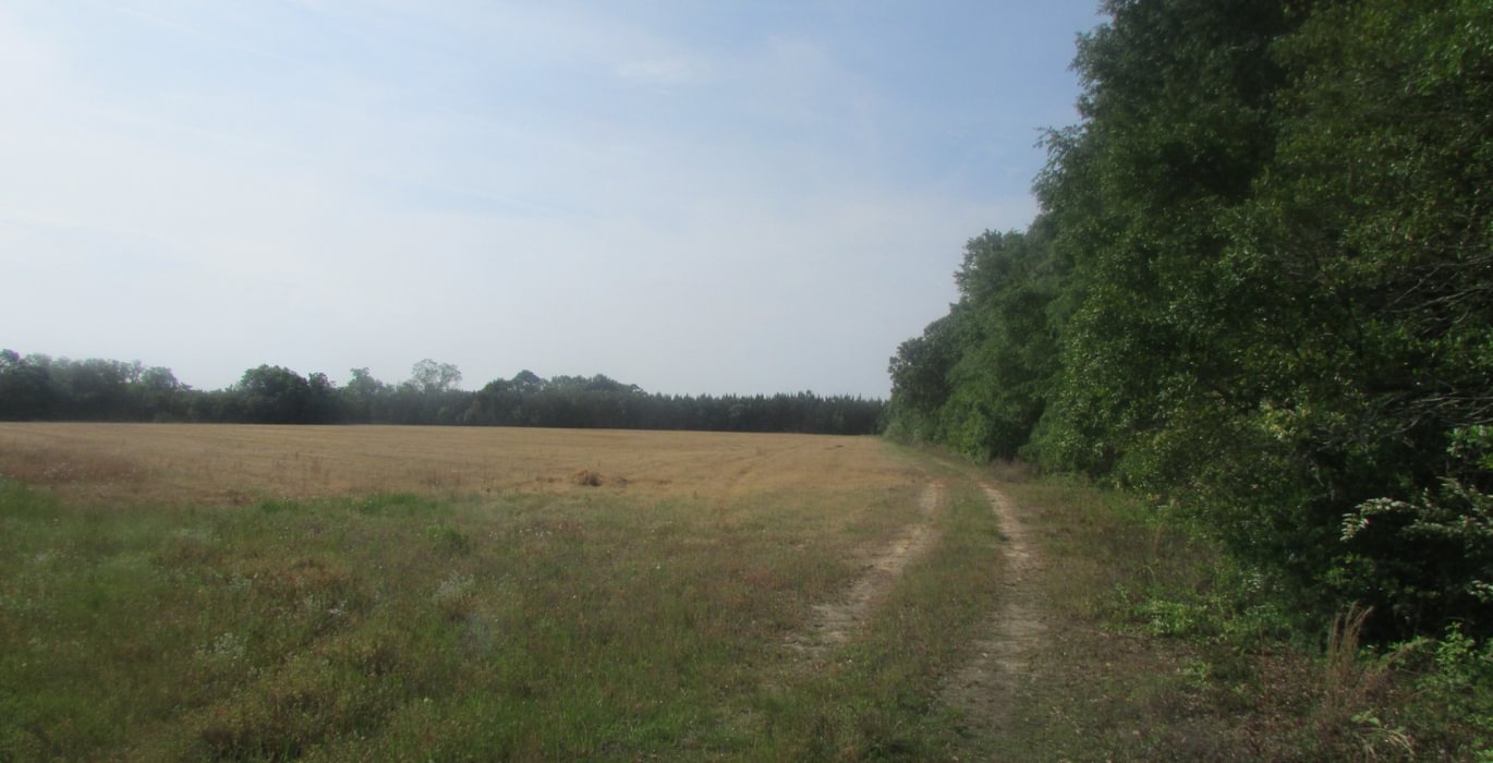 338 IMG 0718