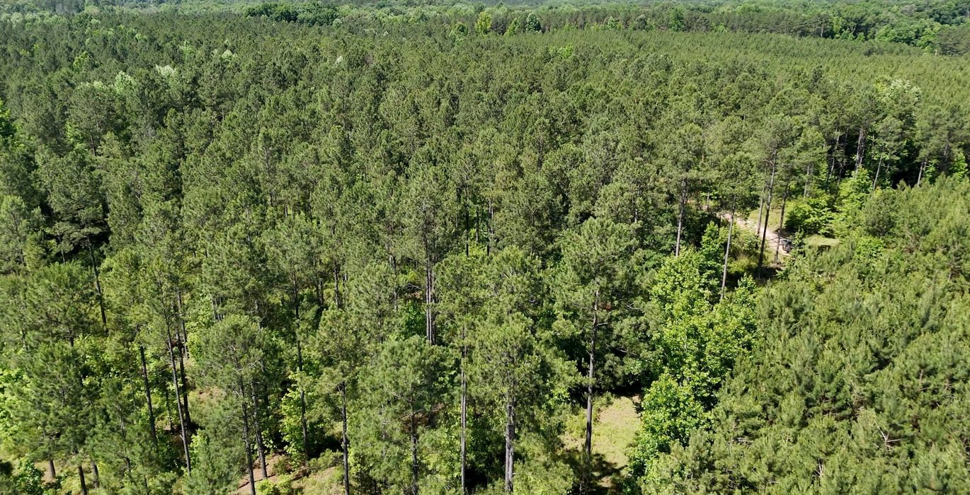339 Horton Tract Photo 17