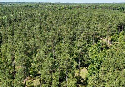 339 Horton Tract Photo 17