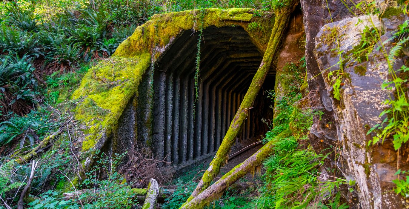339 tunnel