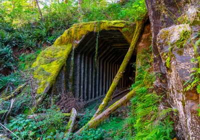 339 tunnel