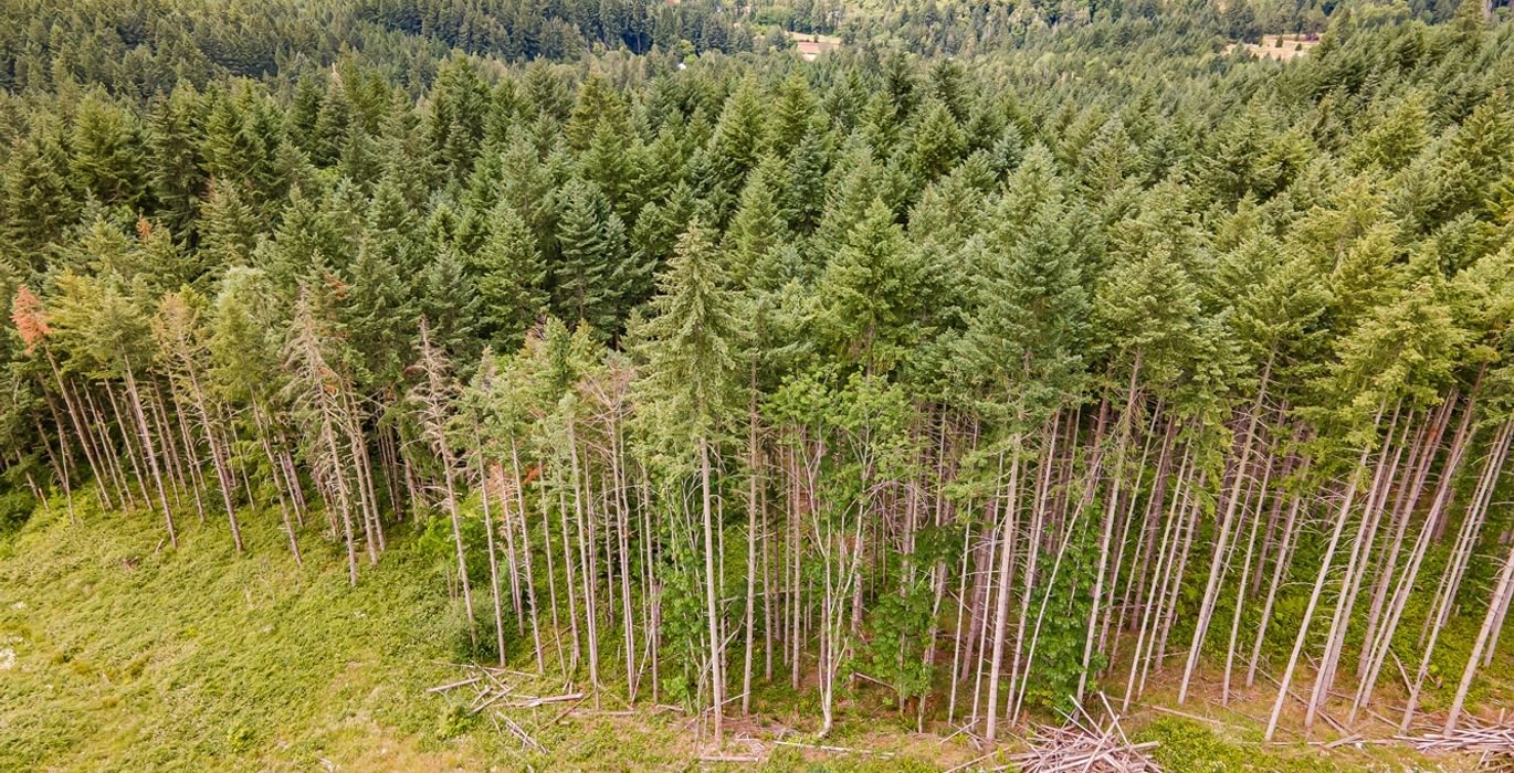 37 DJI 0672 HDR25