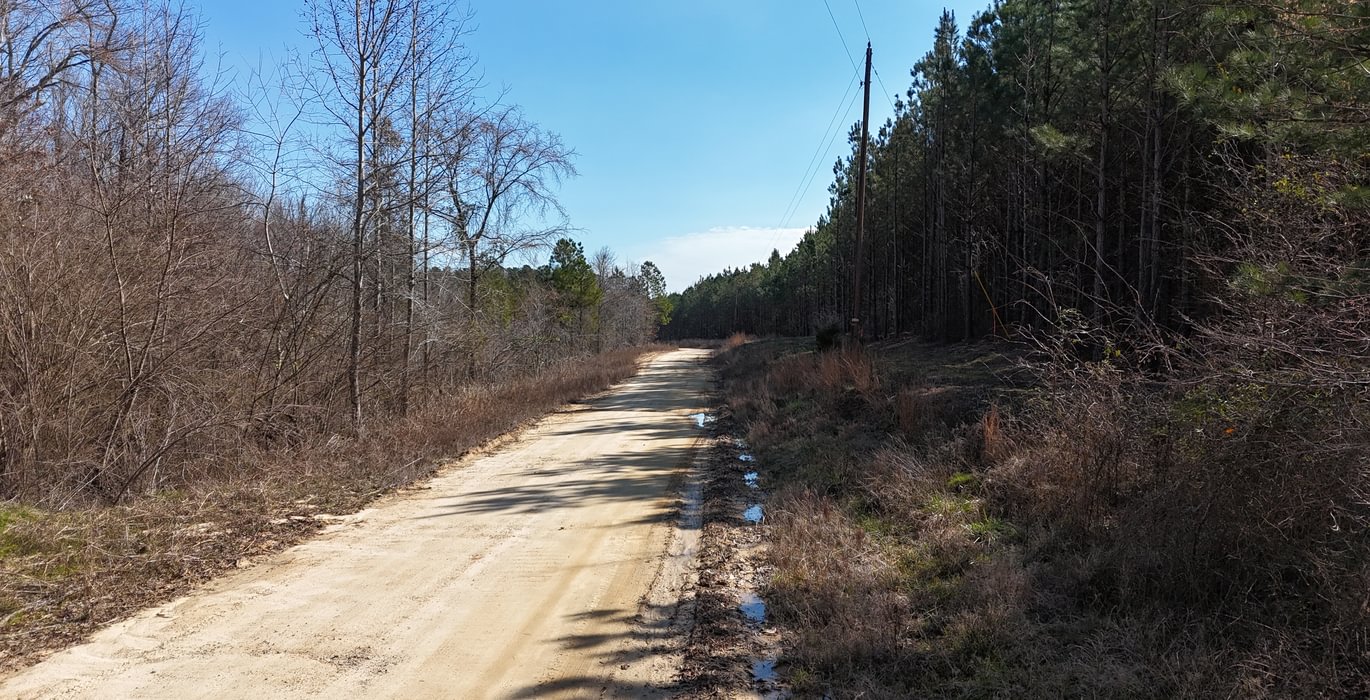 37 DJI 20250224110108 0011 D