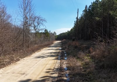 37 DJI 20250224110108 0011 D