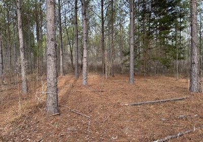 37 IMG 8641