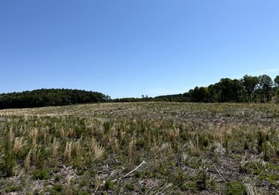 340 IMG 2846