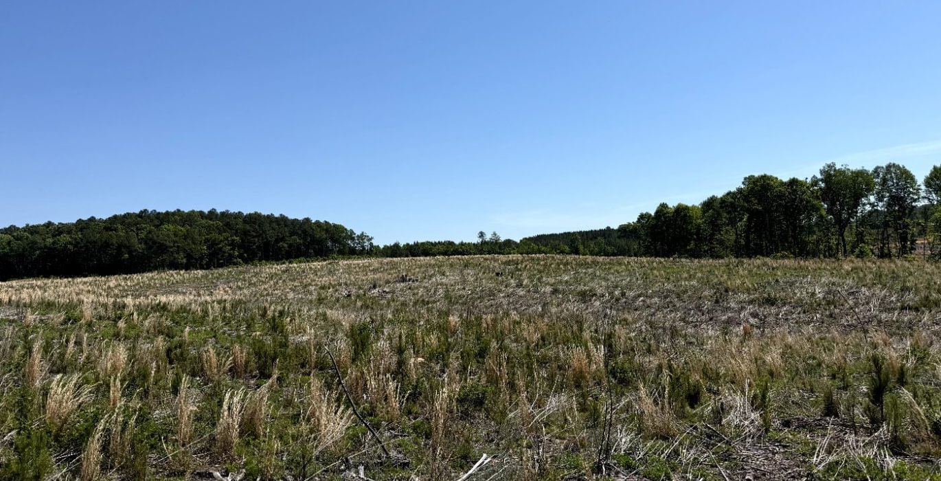 340 IMG 2846