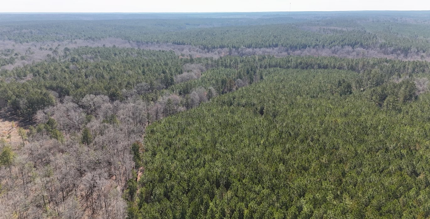 342 DJI 20250224110324 0013 D