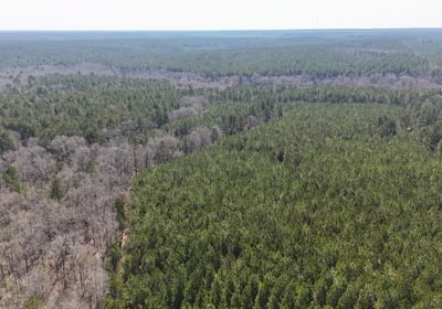 342 DJI 20250224110324 0013 D