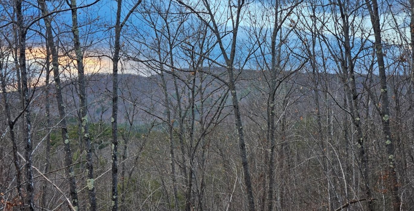 342 mountain view2