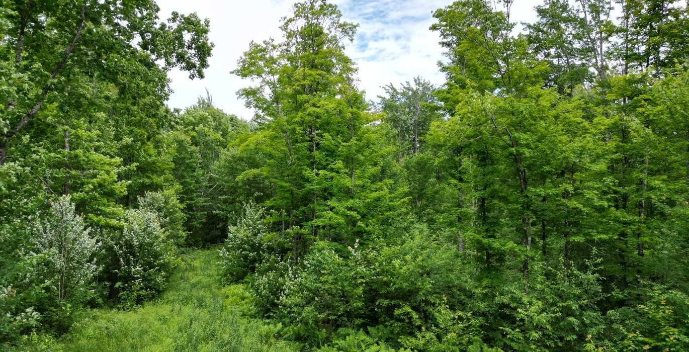 342 perchlake 49