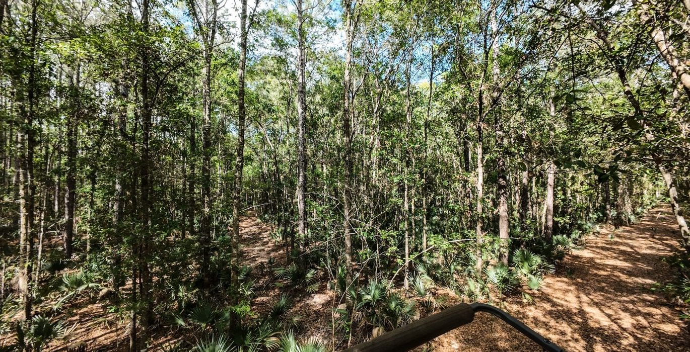 343 DJI 20250516231106 0067 D