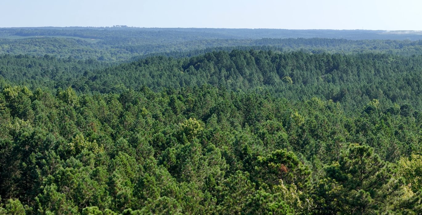 344 Enoree Creek Photo 8