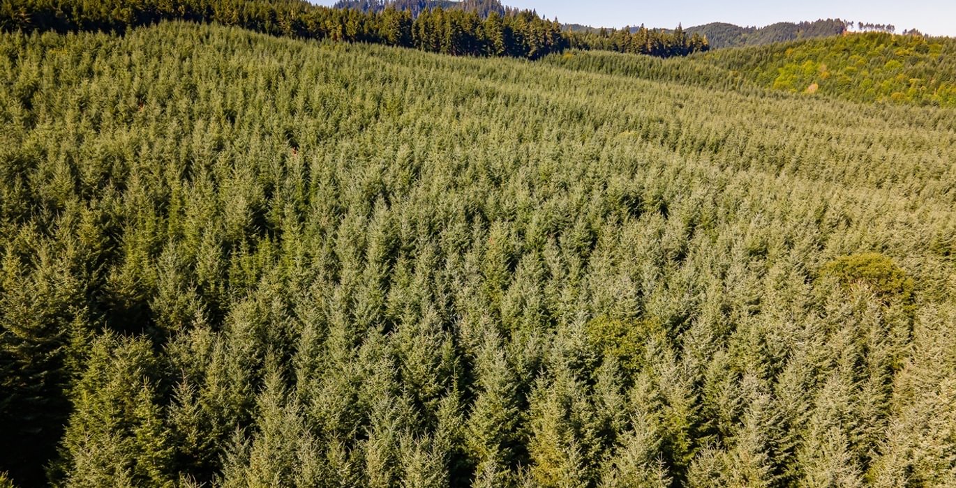 346 DJI 0947 HDR25
