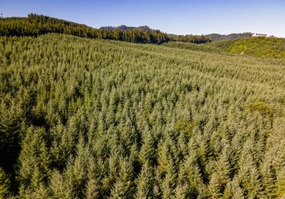 346 DJI 0947 HDR25