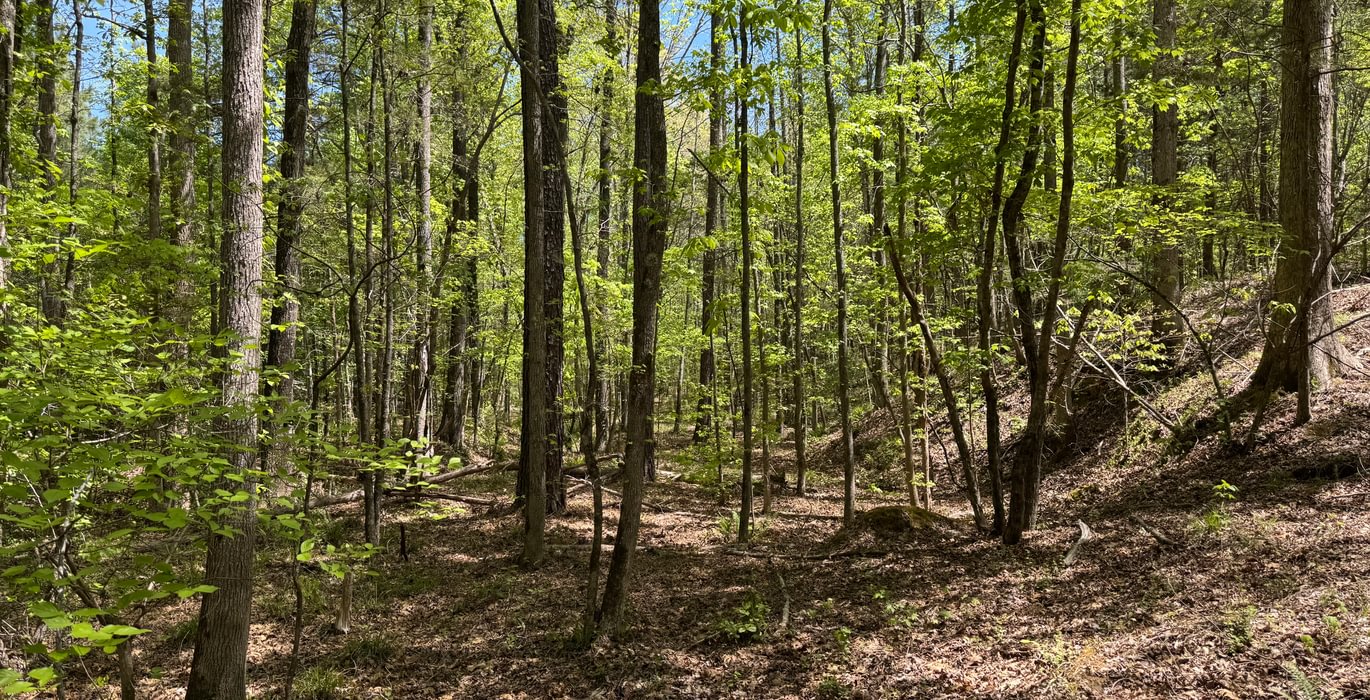 346 IMG 7291