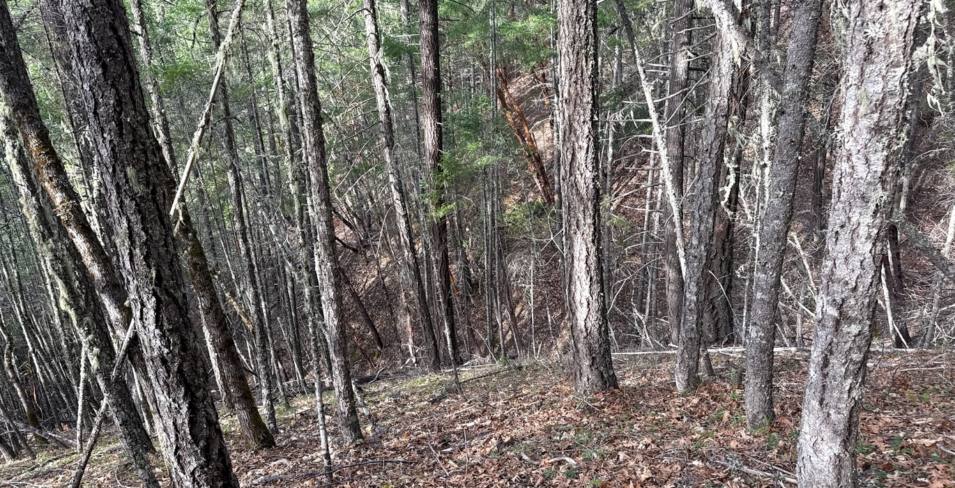 346 ground pic 6