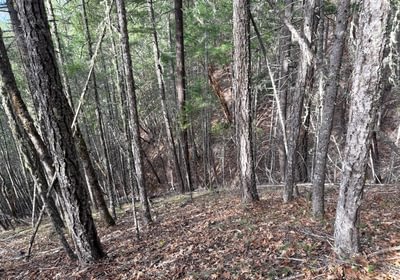 346 ground pic 6