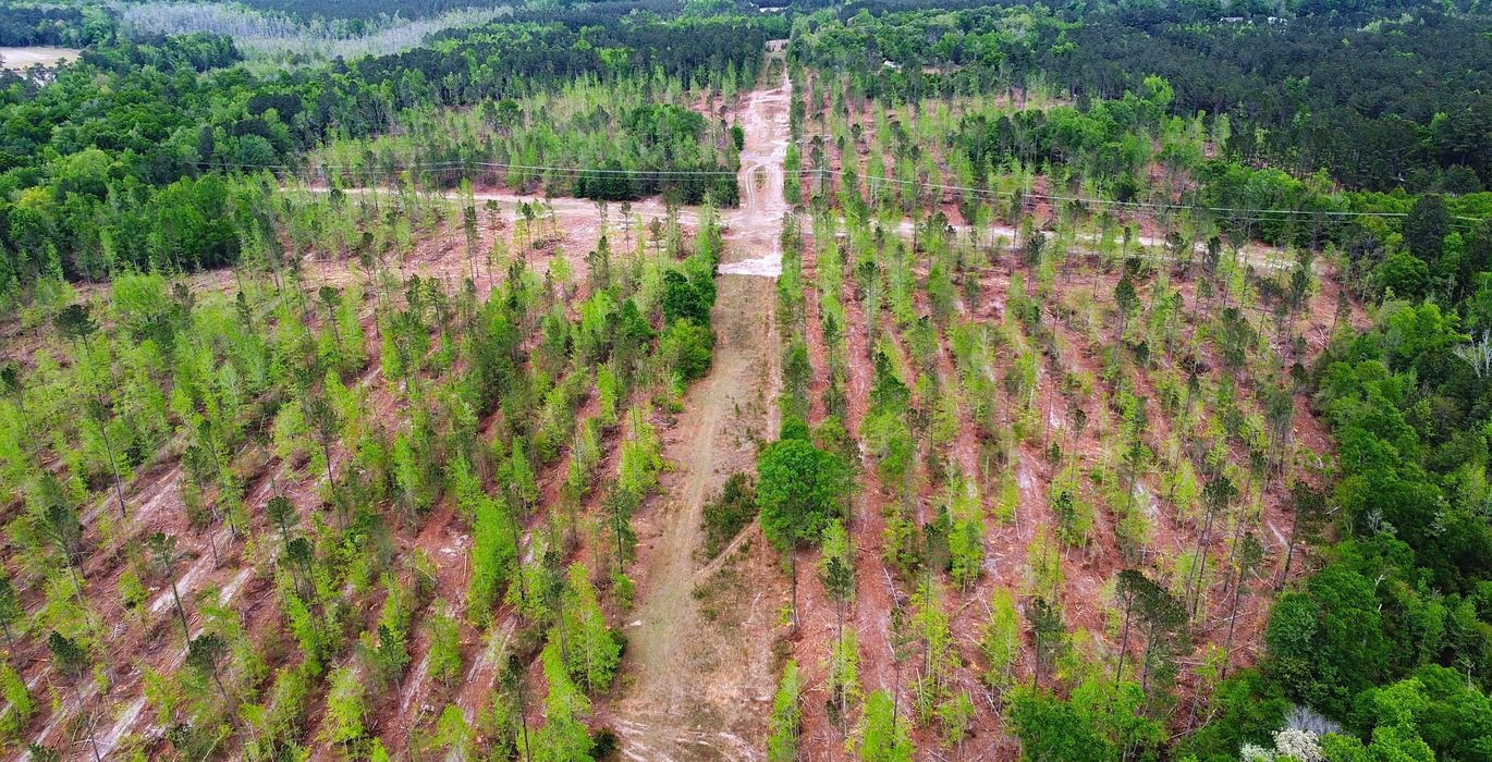 346 dji fly 20260407 145150 214 1775587970775 photo optimized