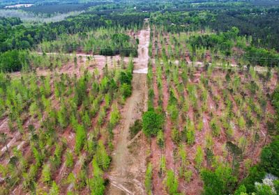 346 dji fly 20260407 145150 214 1775587970775 photo optimized