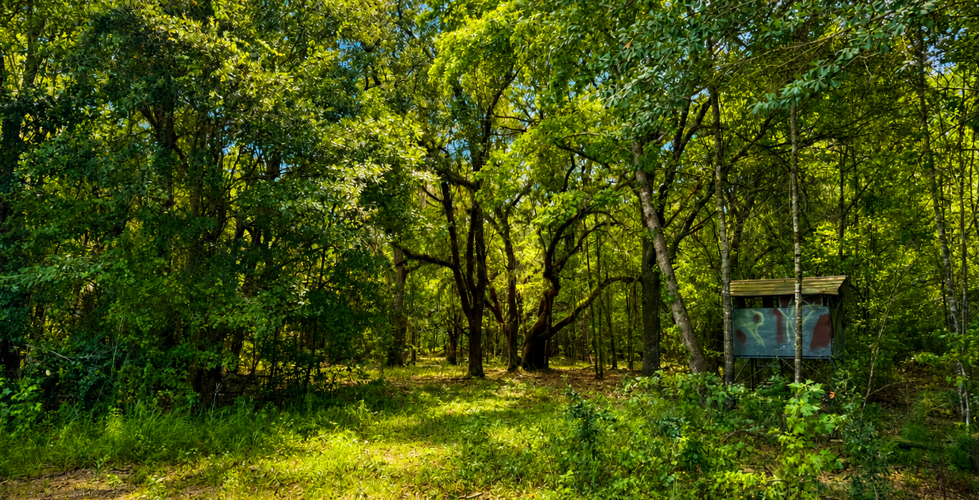 347 Deer Blind