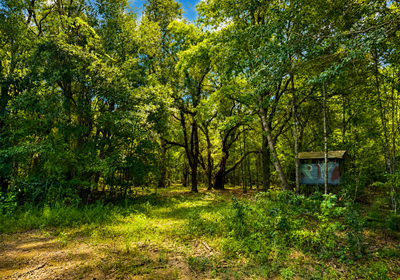 347 Deer Blind