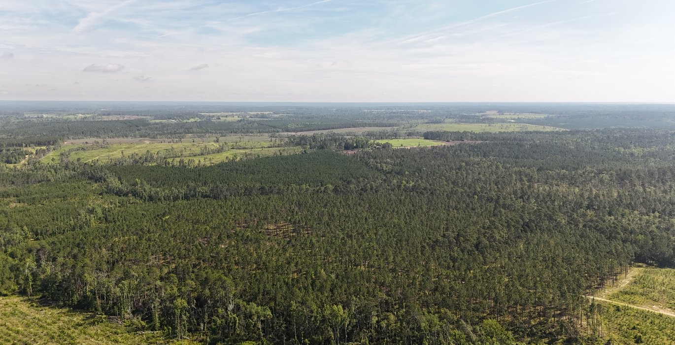 348 DJI 20250613095408 0099 D