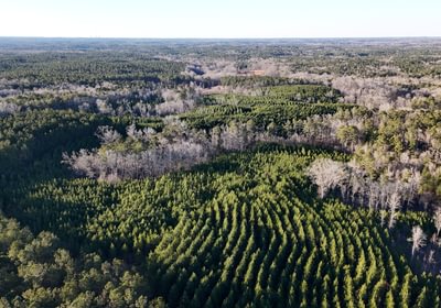 348 DJI 20260115164612 0107 D