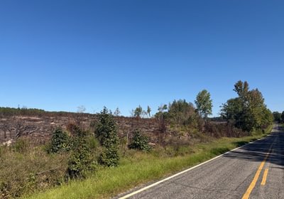 348 IMG 0455
