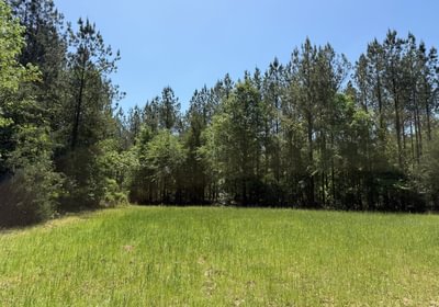 348 IMG 1514