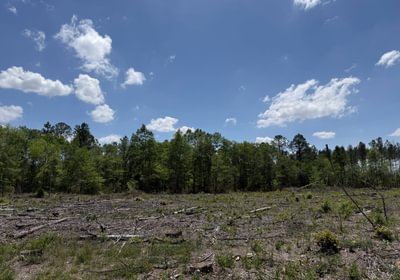348 IMG 1543