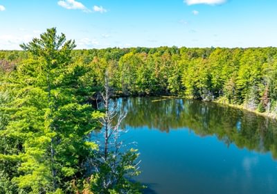 349 20260910 Horseshoe Lake Trina 34