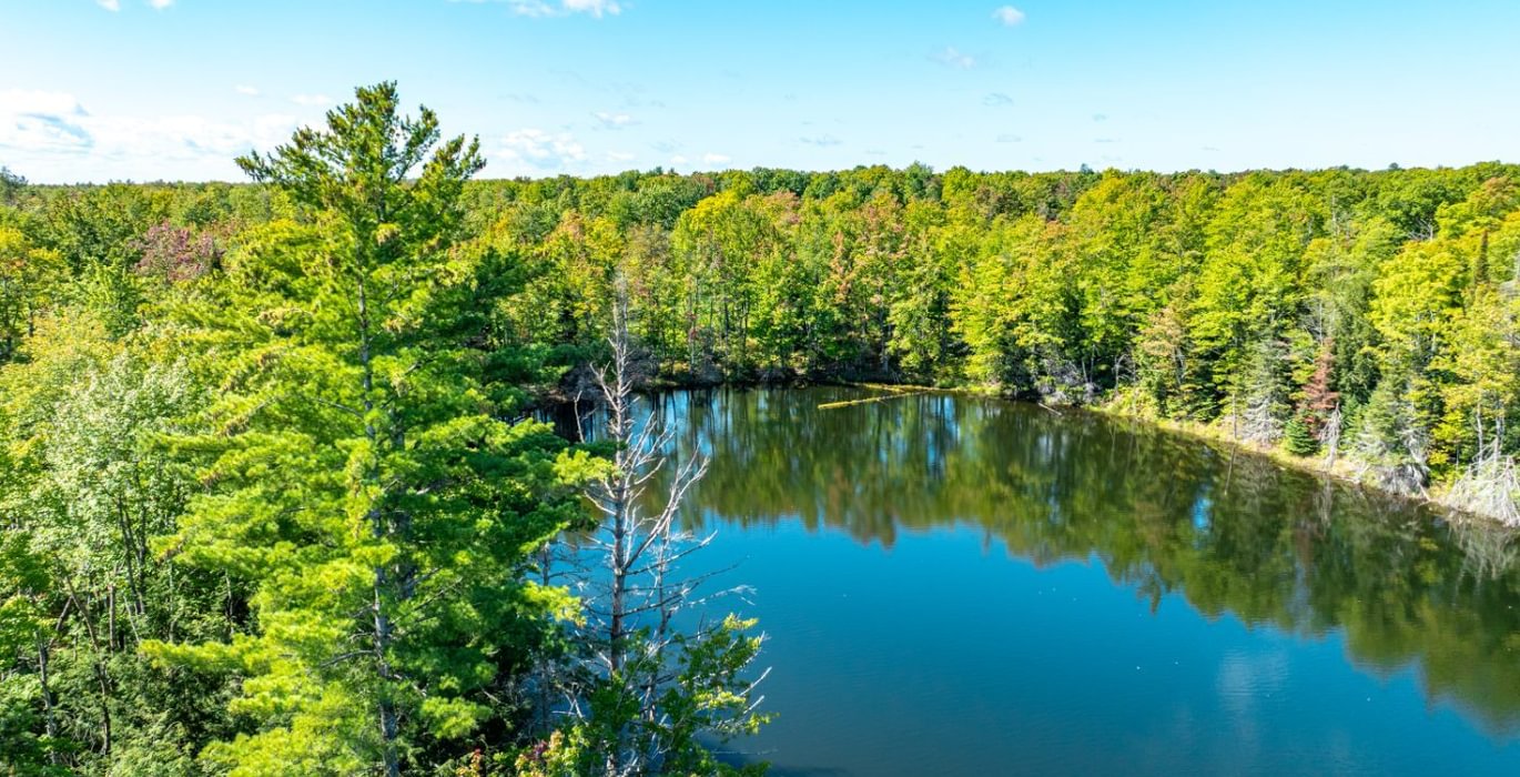 349 20260910 Horseshoe Lake Trina 34