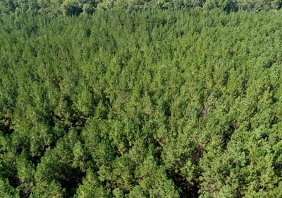 349 AFM Herndon Dairy Tract Photo 11