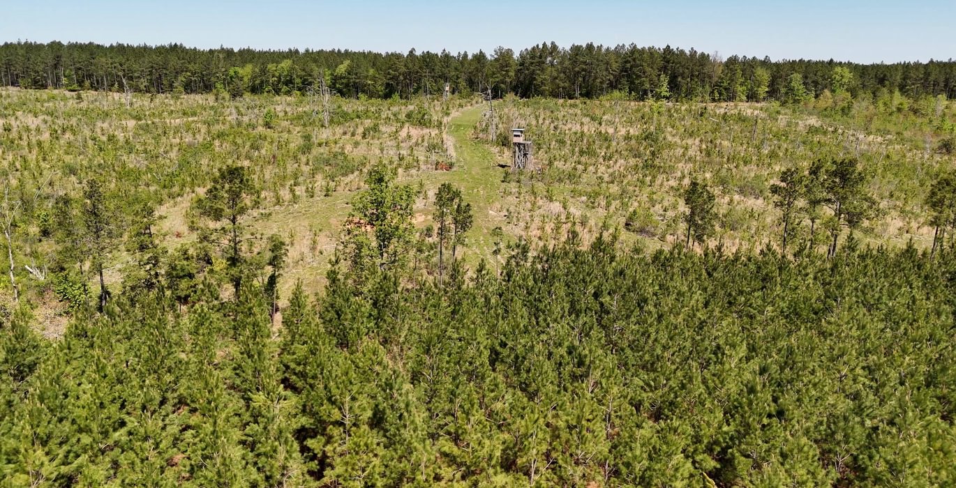 349 AFM Leak Mills Photo 5
