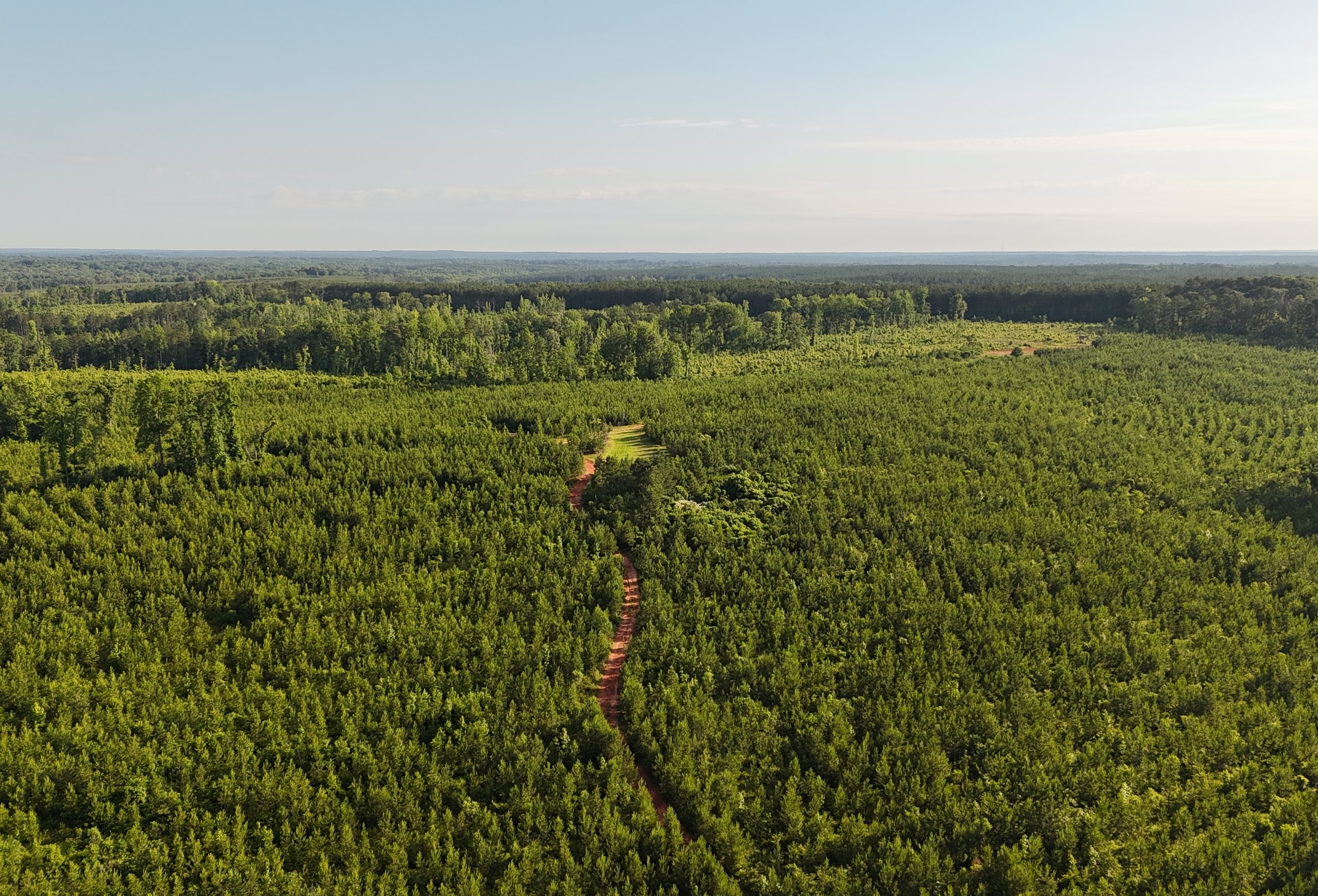 Photo 4 of Wolf Creek - Sportsman Tract, 182 acres, Jasper County, Georgia