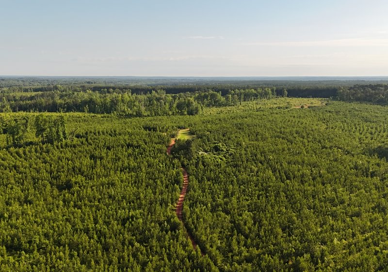 Photo 4 of Wolf Creek - Sportsman Tract, 182 acres, Jasper County, Georgia