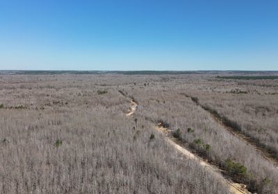 34 DJI 20250228135229 0011 D