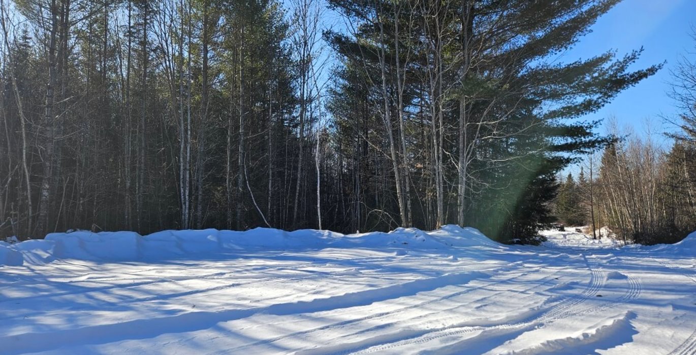 350 21 End of so called Woods Road lot on left