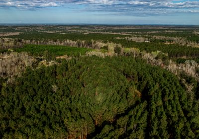 350 AFM Island Creek Farms 4